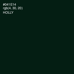 #041E14 - Holly Color Image