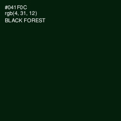 #041F0C - Black Forest Color Image