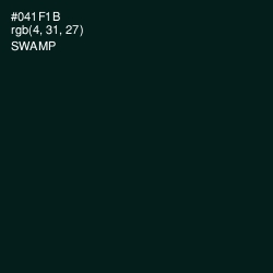 #041F1B - Swamp Color Image