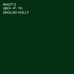 #042F10 - English Holly Color Image