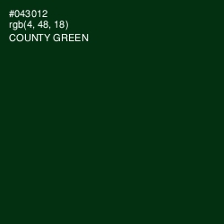 #043012 - County Green Color Image
