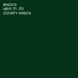 #043319 - County Green Color Image