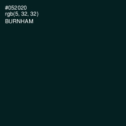 #052020 - Burnham Color Image