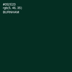 #052E23 - Burnham Color Image