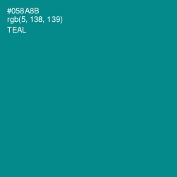 #058A8B - Teal Color Image