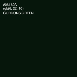 #06160A - Gordons Green Color Image
