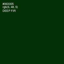 #063005 - Deep Fir Color Image