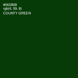 #063B08 - County Green Color Image