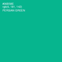 #06B58E - Persian Green Color Image