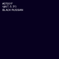 #07001F - Black Russian Color Image