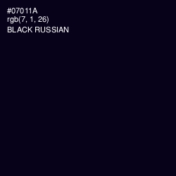 #07011A - Black Russian Color Image