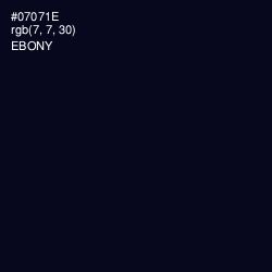 #07071E - Ebony Color Image
