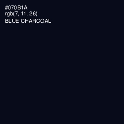 #070B1A - Blue Charcoal Color Image