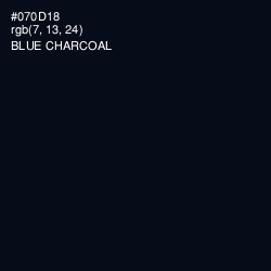 #070D18 - Blue Charcoal Color Image