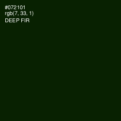 #072101 - Deep Fir Color Image