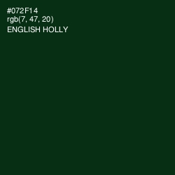 #072F14 - English Holly Color Image