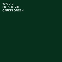 #07301C - Cardin Green Color Image