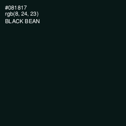 #081817 - Black Bean Color Image