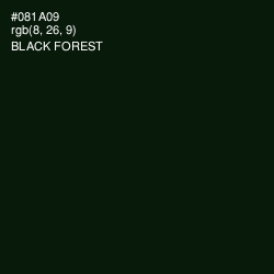 #081A09 - Black Forest Color Image