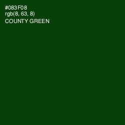 #083F08 - County Green Color Image