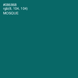 #086868 - Mosque Color Image