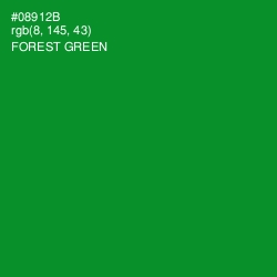#08912B - Forest Green Color Image