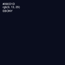 #090D1D - Ebony Color Image