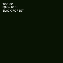 #091304 - Black Forest Color Image