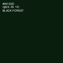 #091E0D - Black Forest Color Image