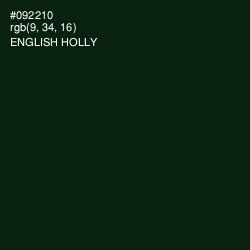 #092210 - English Holly Color Image