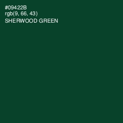 #09422B - Sherwood Green Color Image
