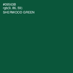 #09563B - Sherwood Green Color Image