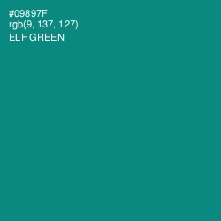#09897F - Elf Green Color Image