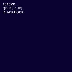 #0A0231 - Black Rock Color Image