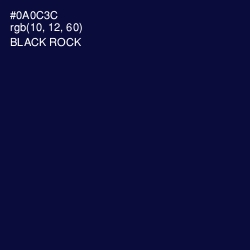 #0A0C3C - Black Rock Color Image