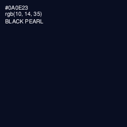 #0A0E23 - Black Pearl Color Image