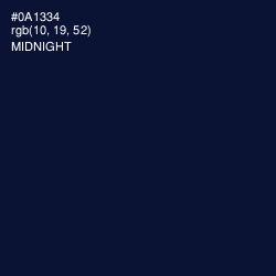 #0A1334 - Midnight Color Image