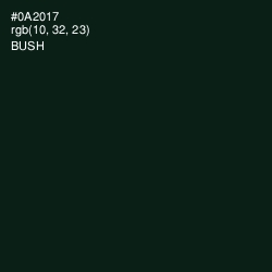#0A2017 - Bush Color Image