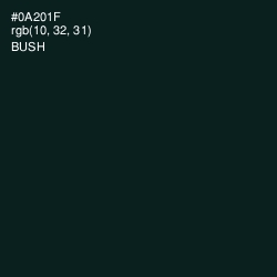 #0A201F - Bush Color Image
