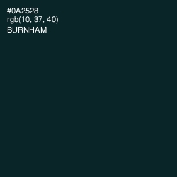 #0A2528 - Burnham Color Image
