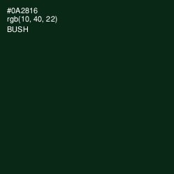 #0A2816 - Bush Color Image