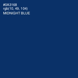 #0A3168 - Midnight Blue Color Image