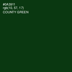 #0A3911 - County Green Color Image