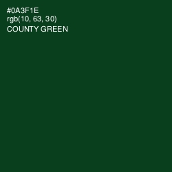 #0A3F1E - County Green Color Image