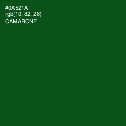 #0A521A - Camarone Color Image
