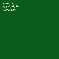 #0A5C1A - Camarone Color Image