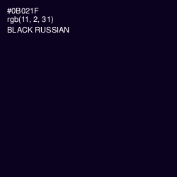 #0B021F - Black Russian Color Image