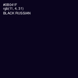 #0B041F - Black Russian Color Image