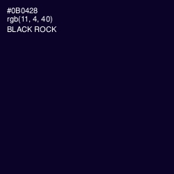 #0B0428 - Black Rock Color Image