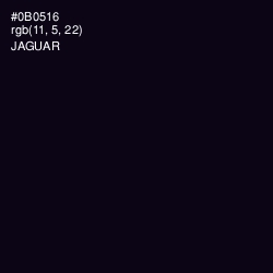 #0B0516 - Jaguar Color Image